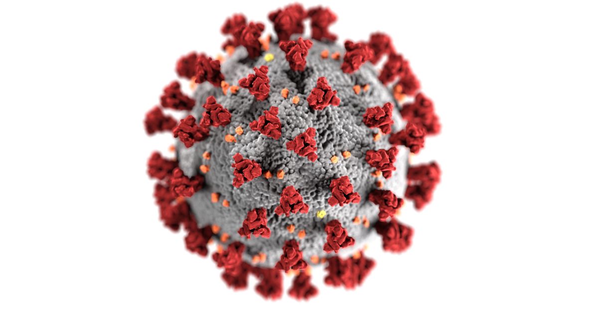 Virus en particulas pm suspendidas