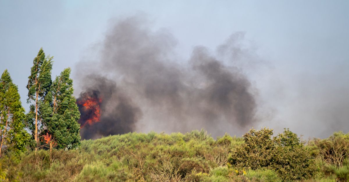 Incendios forestales